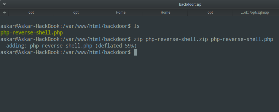 SQLi-zip-backdoor